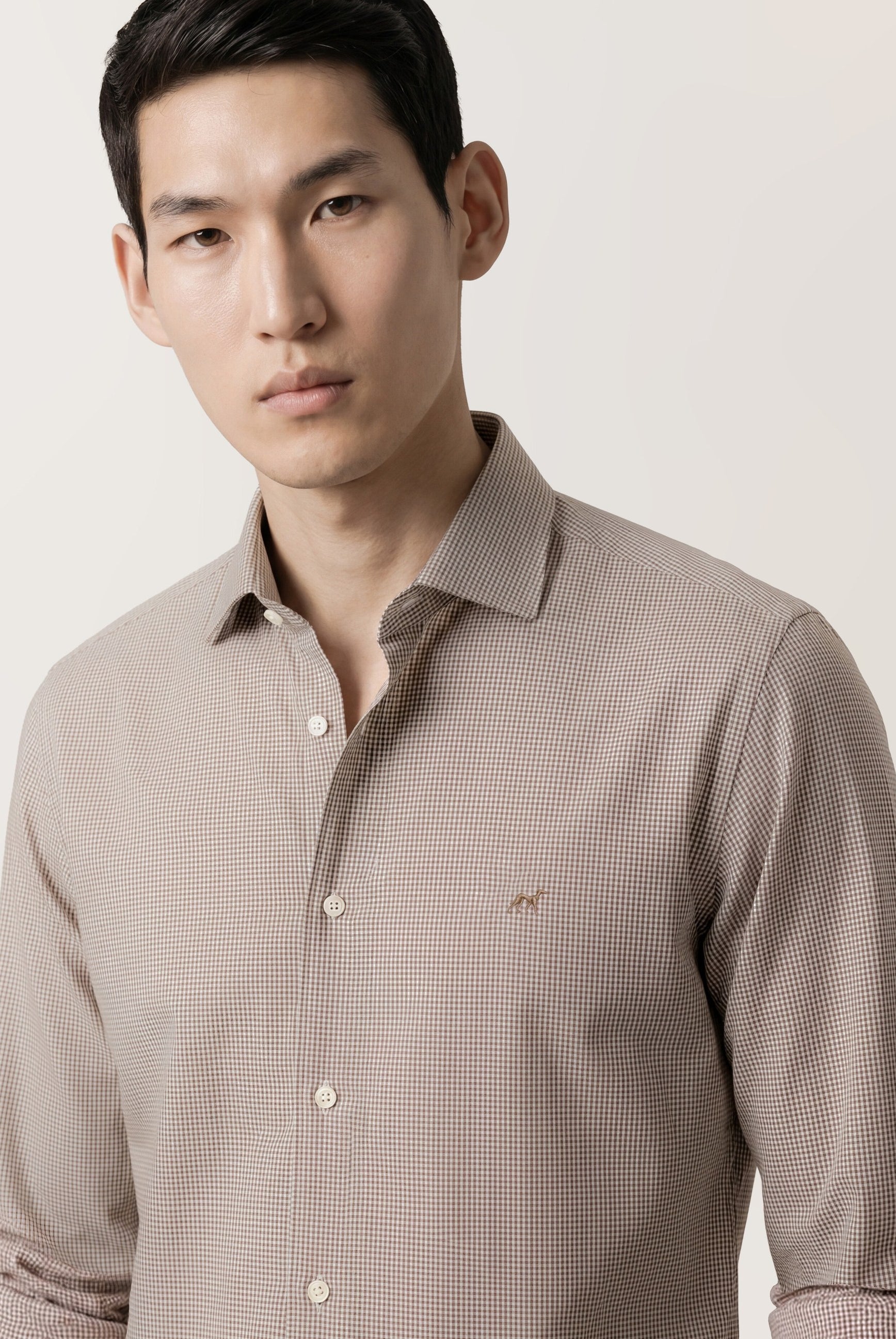 Light Brown (AI)