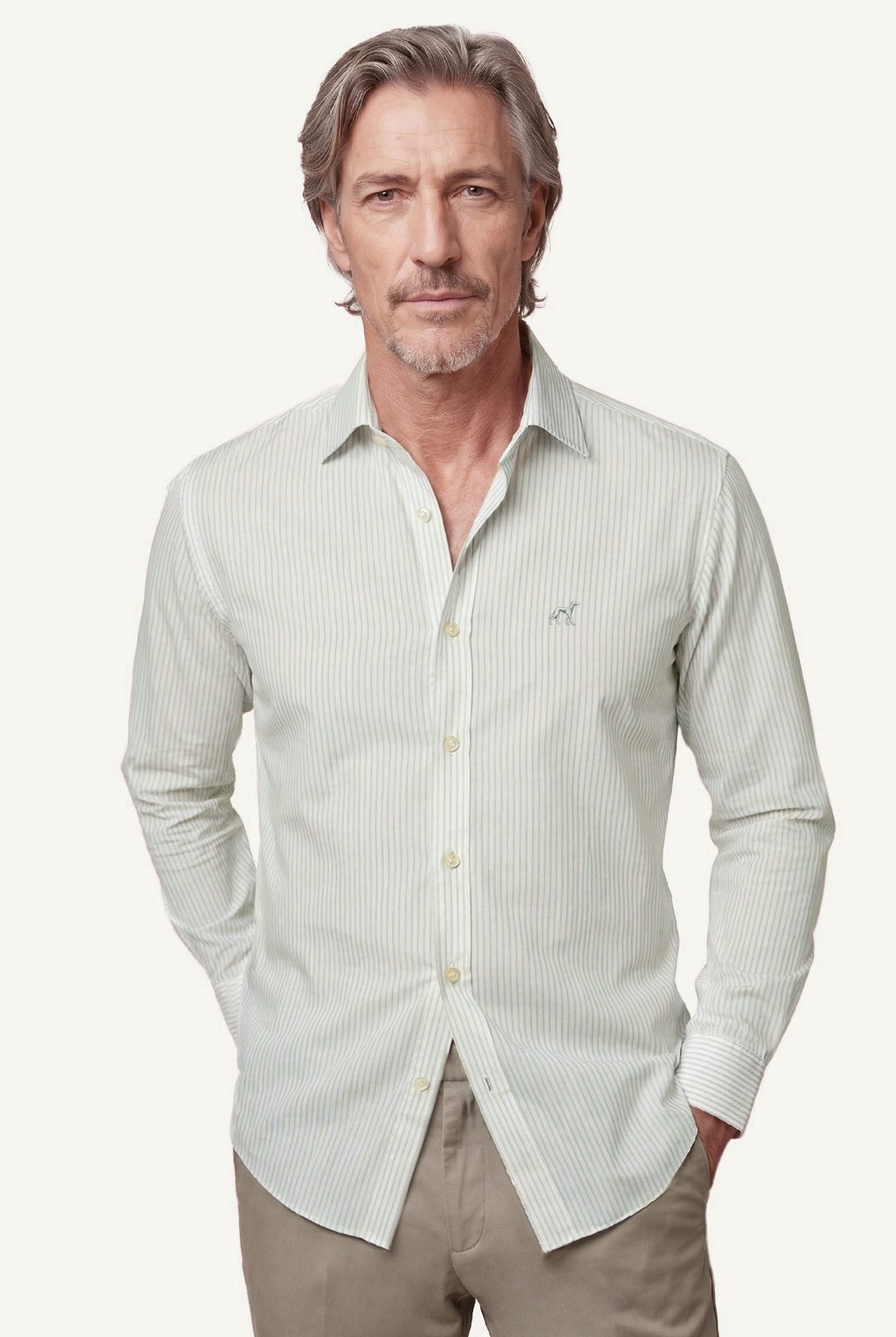 Light Grey (AI)