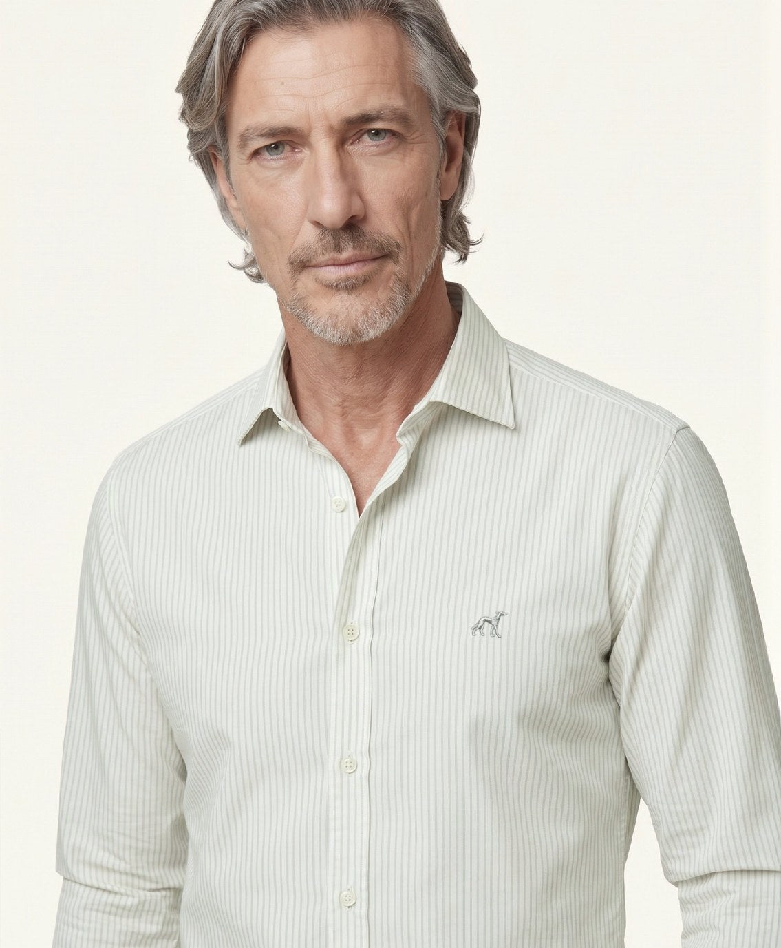 Light Grey (AI)