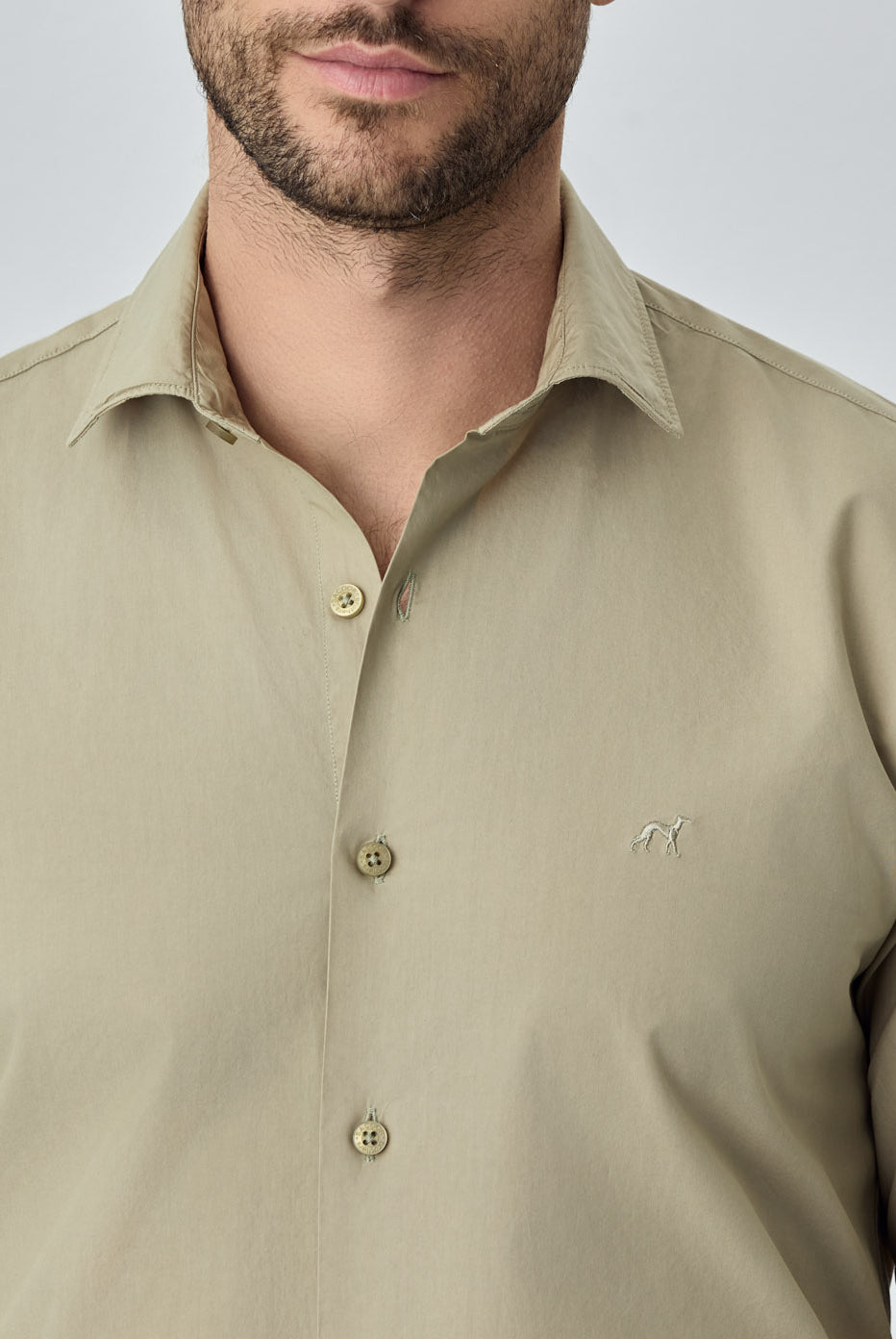 Olive Green