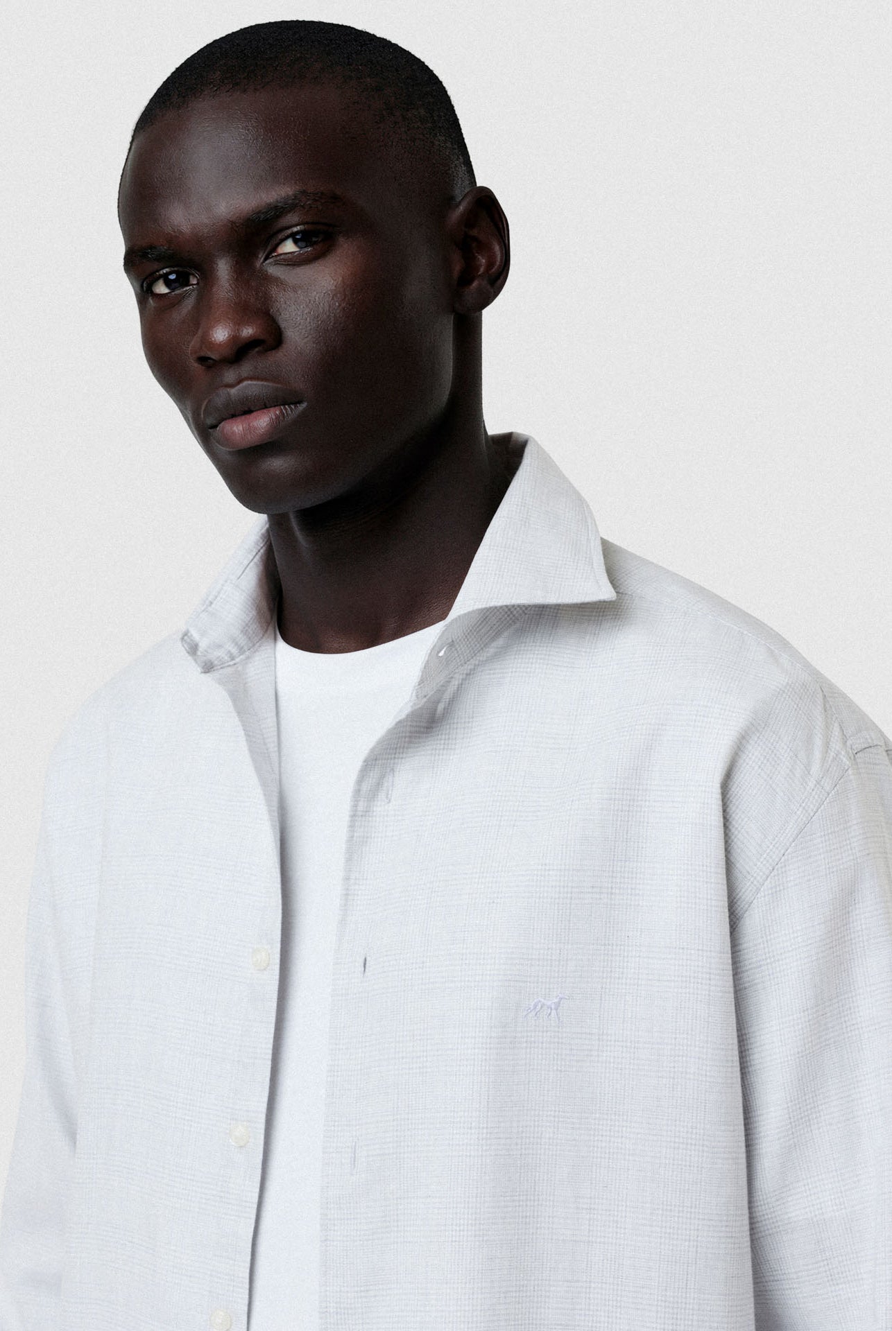 Light Grey (AI)