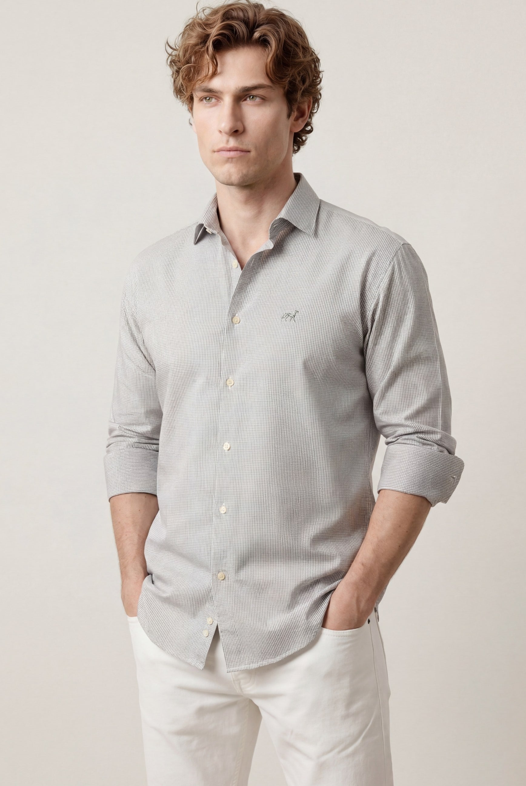 Light Grey (AI)