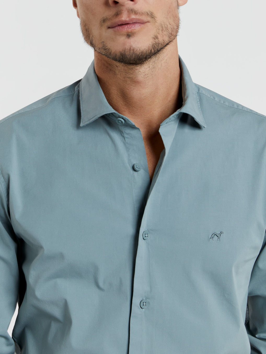 Light Turquoise
