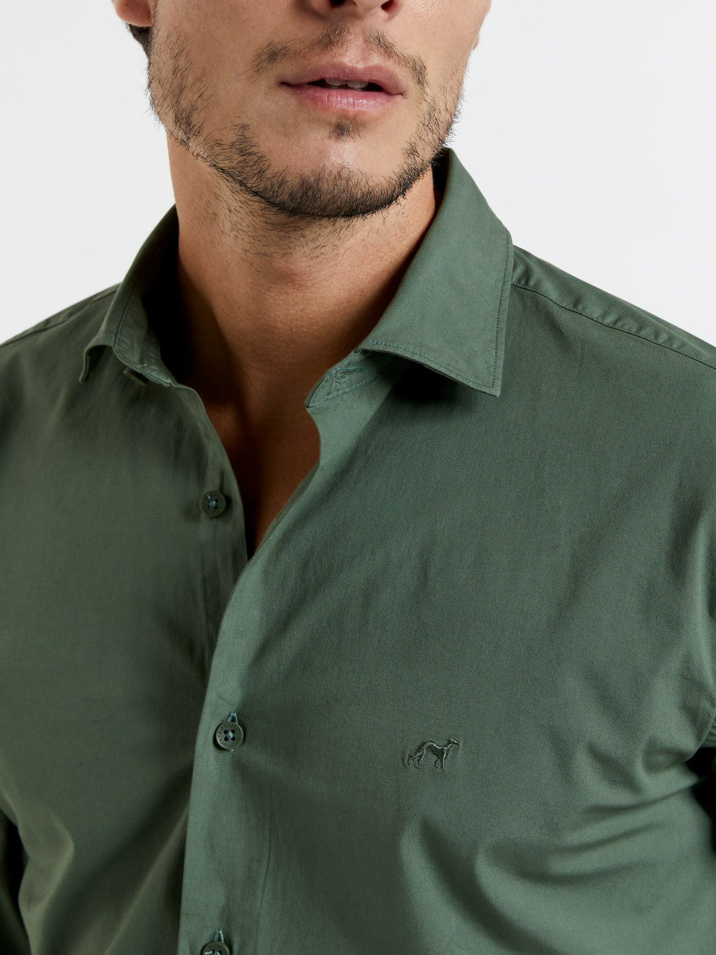 Light Green