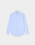 Light Blue (AI)