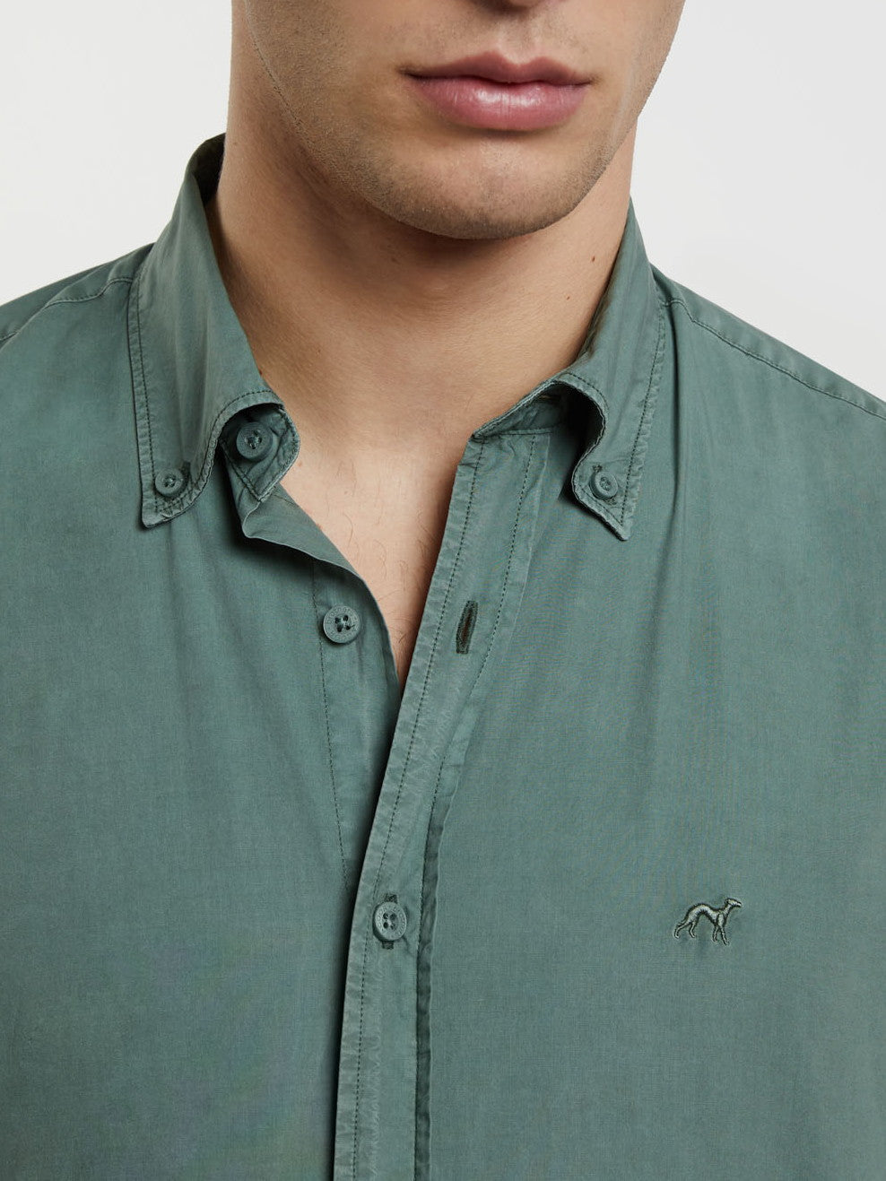 Light Green